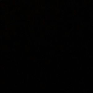 Meet your Posher, Darron